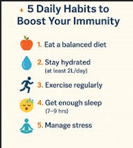 Daily Habits for Better Immunity
